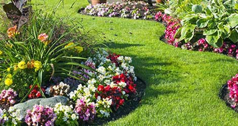 Greenfield landscaping company