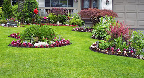 Landscape Planting Services