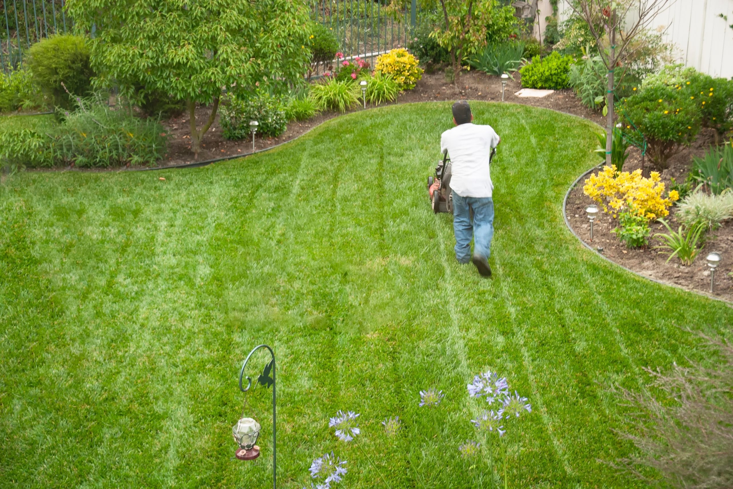 Front and Backyard Landscaping